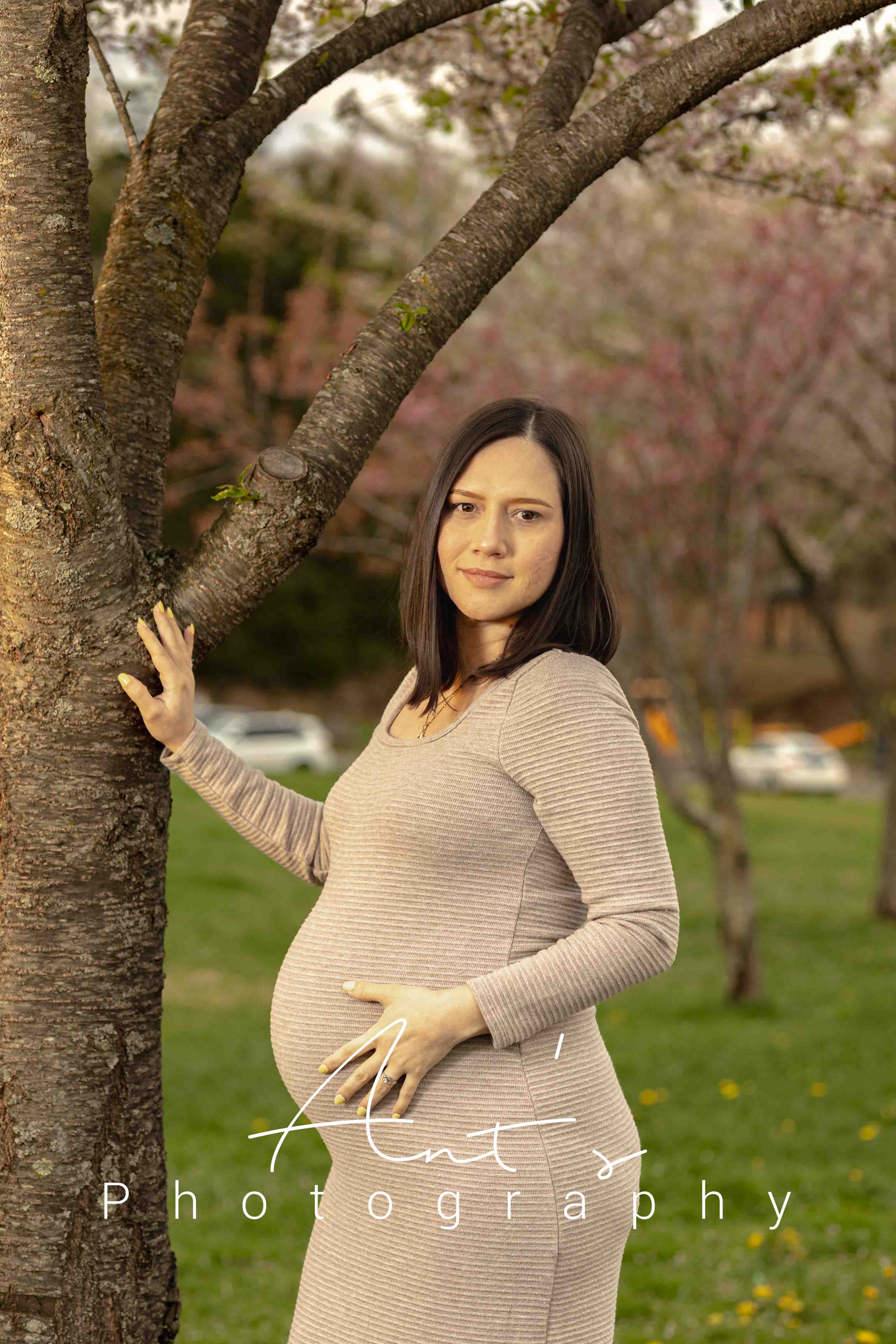 Elegant maternity session with simple neutral styling in Connecticut